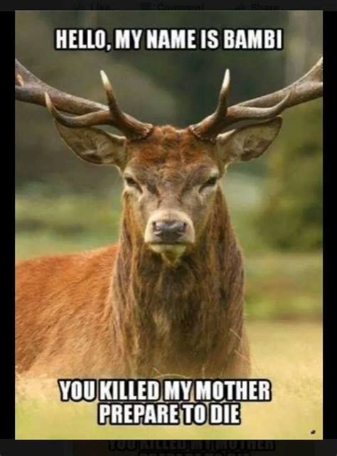 funny deer pictures with captions